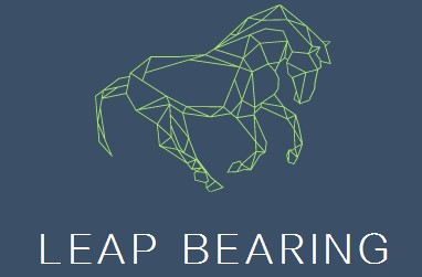 Leap Bearing Service
