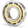 2307 Rollway Self Aligning Ball Bearing Double Row
